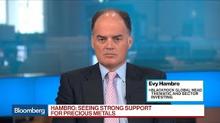 BlackRock Has Bias Toward Precious Metals, Especially Gold