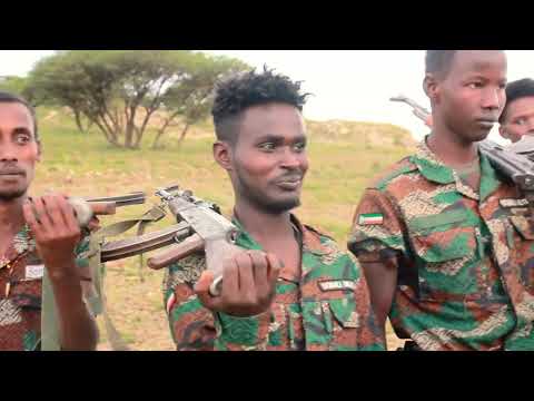 HEES CUSUB SAREEYA CIIDANKA MALEESHIYADA VIDEO 2023