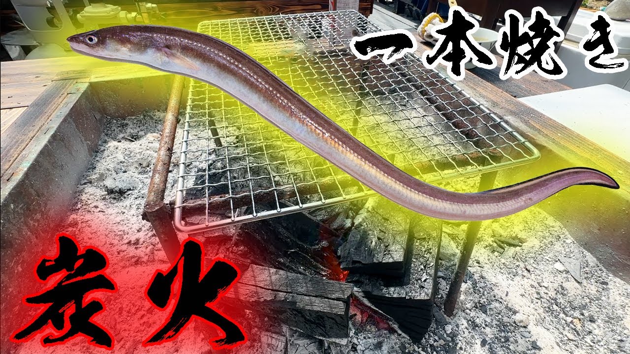 釣ってきたアナゴを名古屋の有名料理にしてみると・・・？