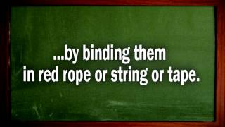 TRANSIT TV TEACHER TEXT - Lesson #352: "Why is it Called Red Tape?" - Justin Vyor, Los Angeles
