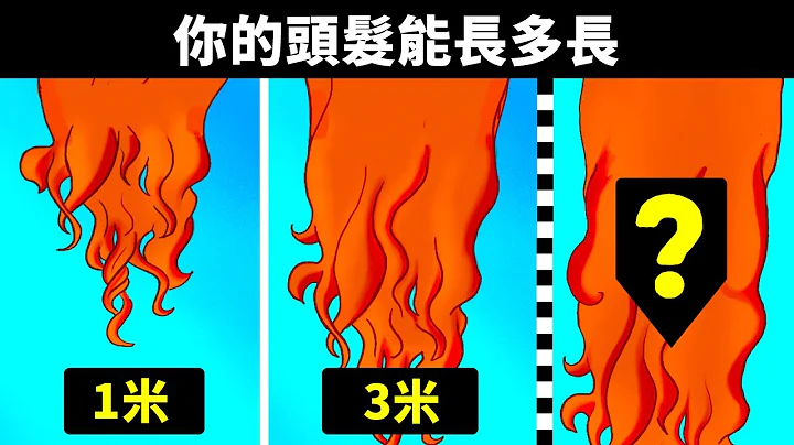 假如你从不剪头发，那就会这样 - 天天要闻