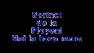 SORINEL DE LA PLOPENI    HAI LA HORA MARE