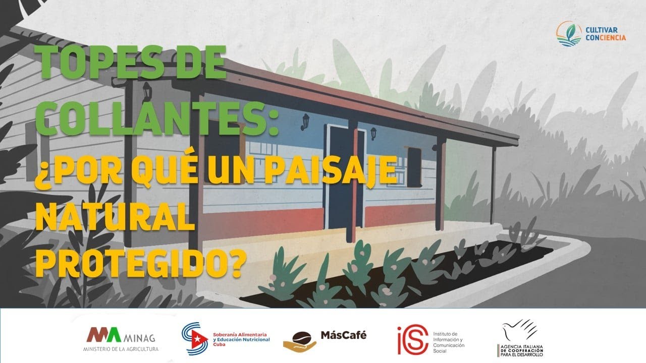 Topes de Collantes: ¿paisaje natural de Cuba?