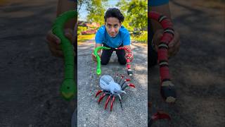 Sob Remote Control Makadee And Rc Snake