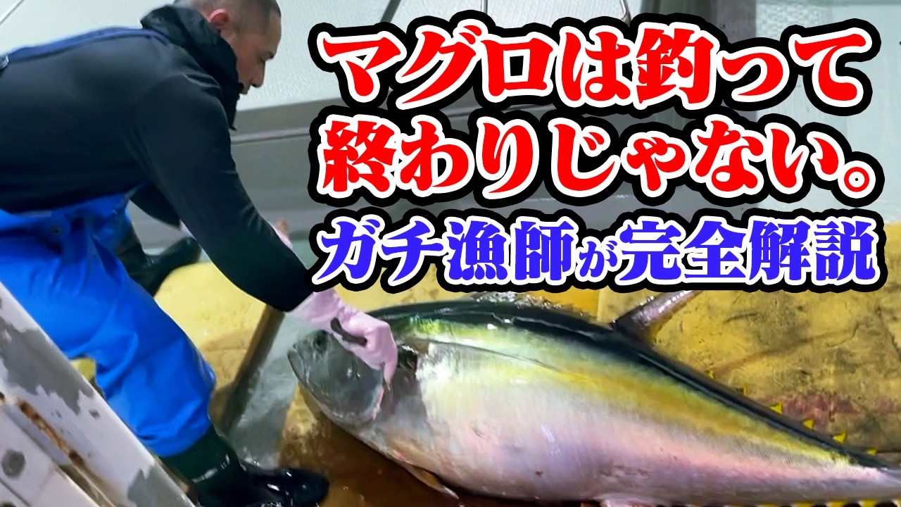 【海上の生活】マグロは釣って終わりじゃない。ガチの漁師が下処理をすべて見せます