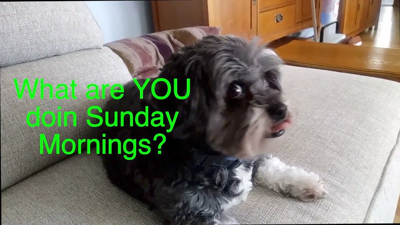 quadcopter dynamics Happy St Patty's Day