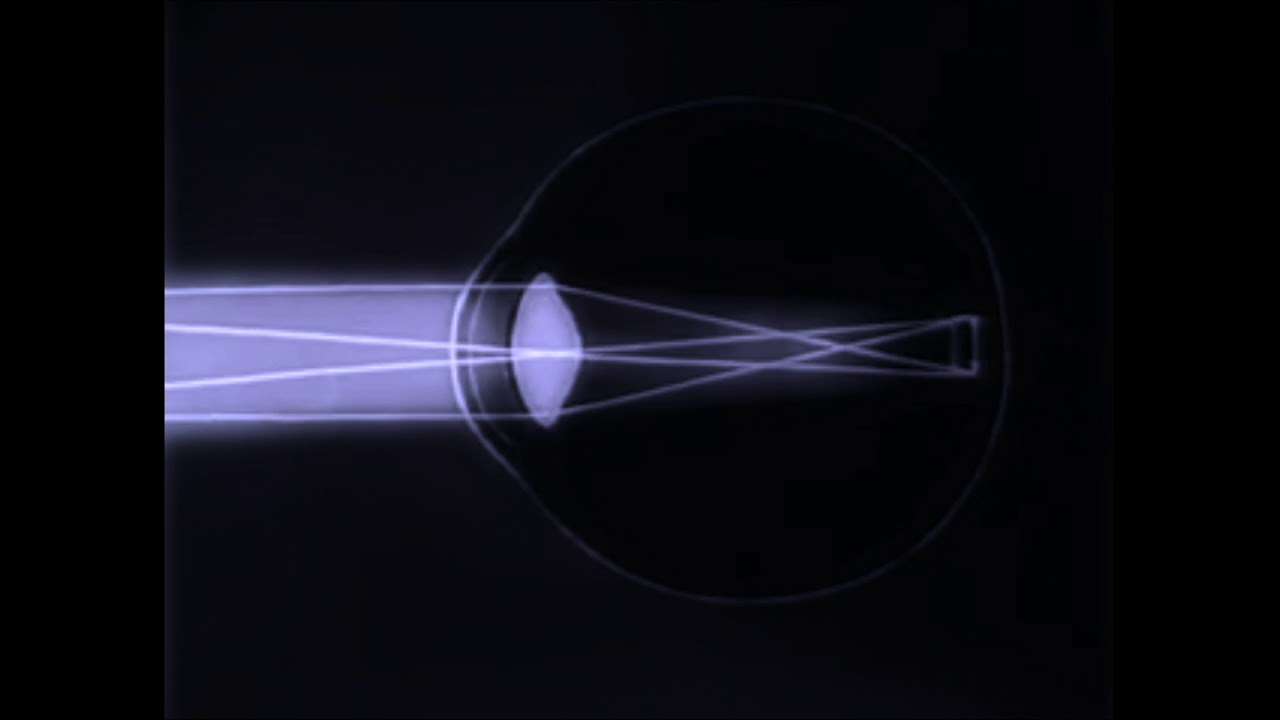 CHIIO "Kinetic" adlı videoyu YouTube'da izle CHIIO "Kinetic" adlı videoyu YouTube'da izle