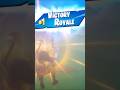 Fortnite wins 1 #fortnite #fortniteclips #fortnitebattleroyale #fortniteshorts #gaming #funny #win