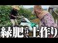 【色々入れません】今回は緑肥(ソルゴー)だけで土作りをします【ホウレン草】【小松菜】