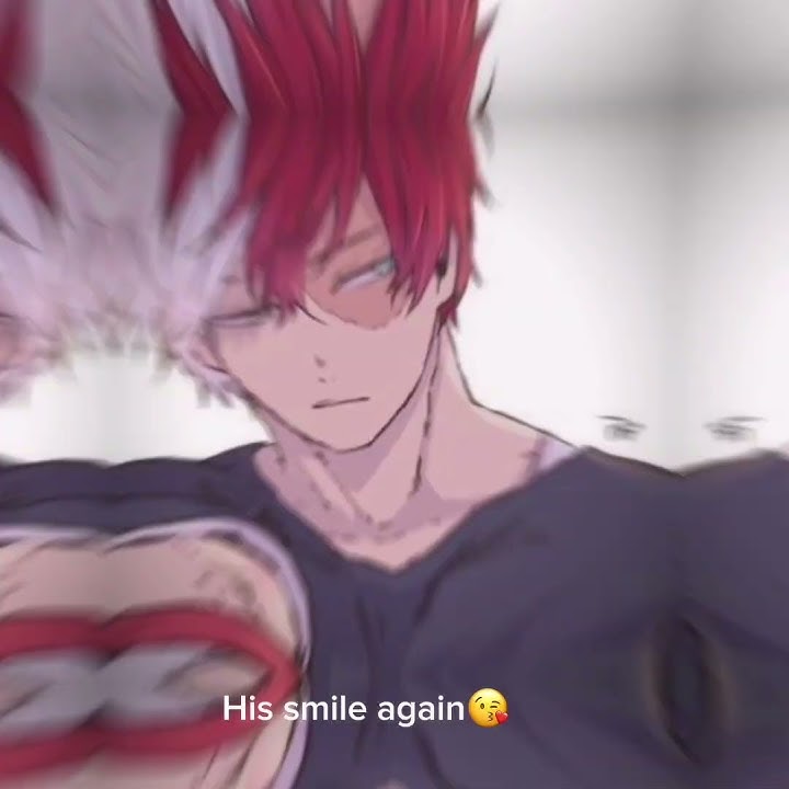 nahh todoroki shouto