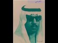 علي بن روغه يا نسناس الشروجي