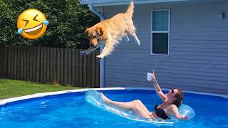 Funniest Animal Videos 2026 😂 Animals Refusing To Behave