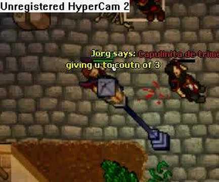 Tibia-Pking another noob...