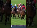 WOAH! Win of the day?