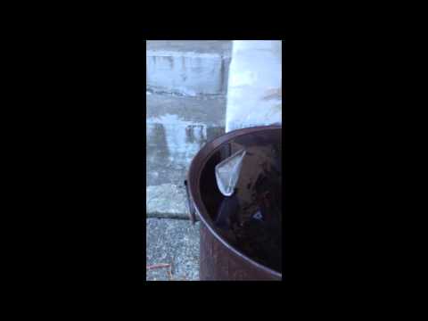 Tiny Ice Vase phenomenon