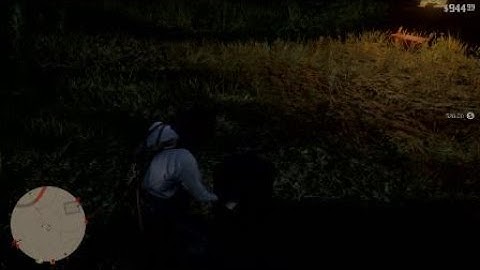 RDR2 - Safe encounter