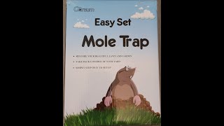 Trapped my first mole July 27 2022
