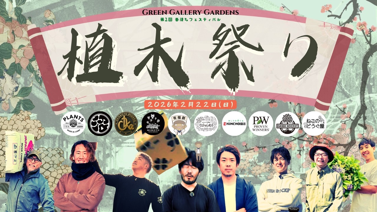 明日は植木祭り！チラ見せライブ！！