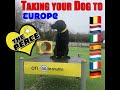 Step by Step Guide on How to Take Your Dog aboard on Eurotunnel Train