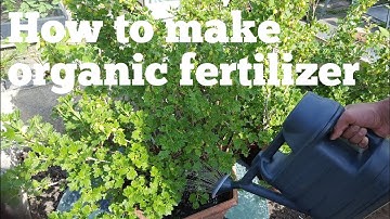 How to make comfrey feed. How to make nettle fertilizer.