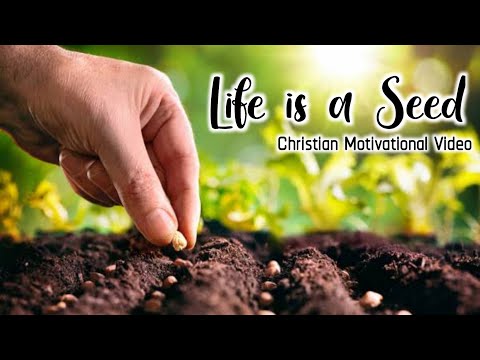 Life Is A Seed | Christian Motivational video | Short video | PremTeja