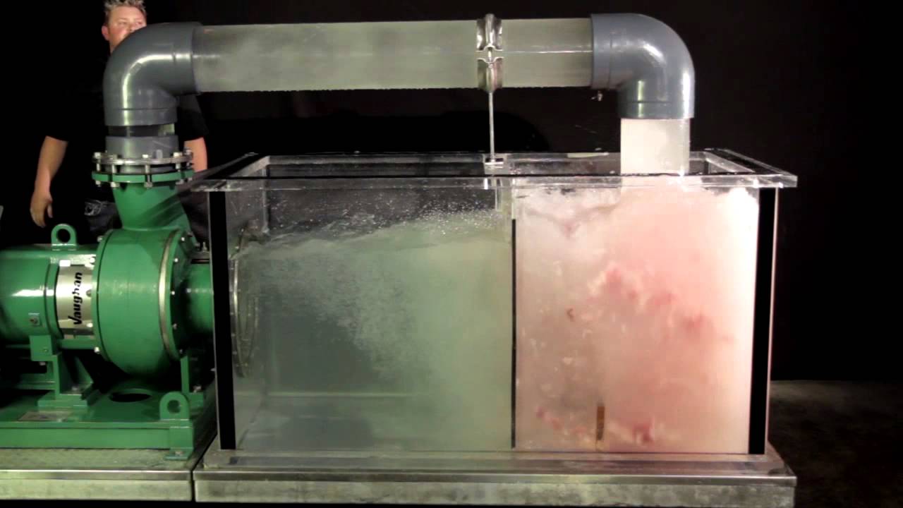 Chopping Whole Turkeys