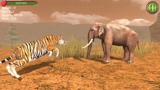 Hungry Tiger 3D Gameplay screenshot 1