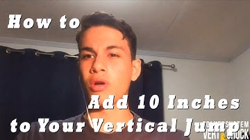 Vert Shock Results | How to Improve Vertical Jump?