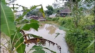 Lapang mini soccer di tengah pesawahan dan perkampungan