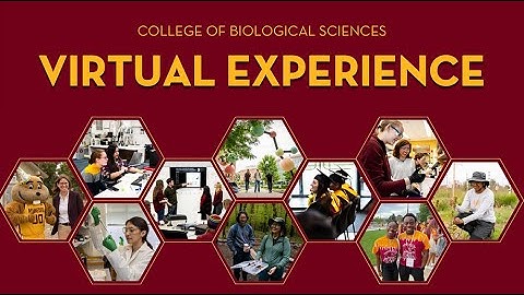 CBS Virtual Experience 2025