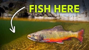 How To Find Trout In A River — Runs 101 | Episode 26