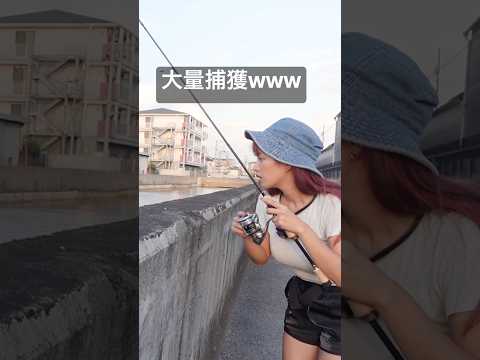 とんでもない捕獲法www #fishing #釣りガール #mancing