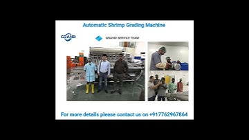 Automatic Shrimp Grading Machine specification for more information please contact us  +917762967864