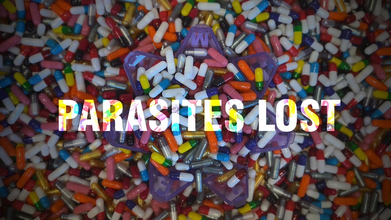 The Dopamines - Parasites Lost [Official Lyric Video]