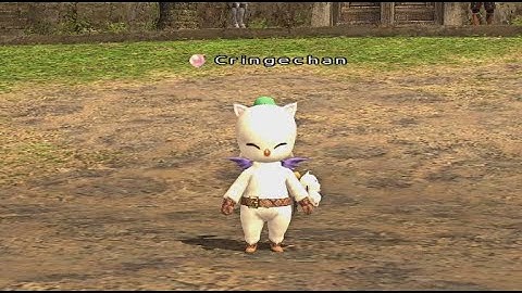 FFXI Port Windhurst Map Glitch