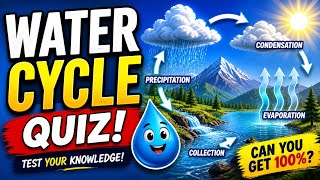 Water Cycle Quiz - Perfect Exam Review for Students