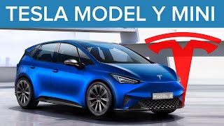 New $25,000 Tesla Leaks