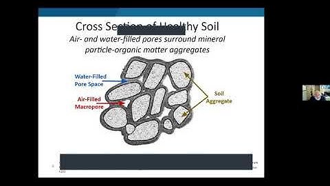 Getting To Know Your Soil   Part 1 - LYNGSO Class