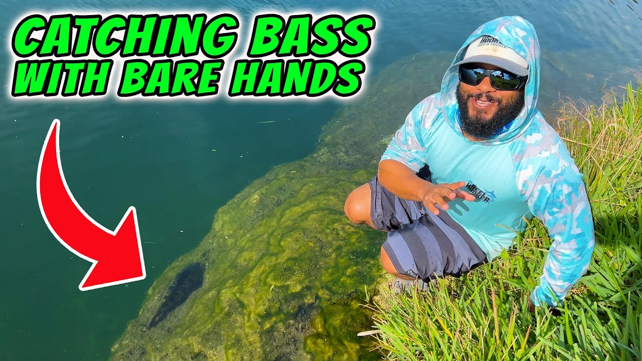 Catching Bass With Bare Hands!!!!! Bass Manager The Best Bass