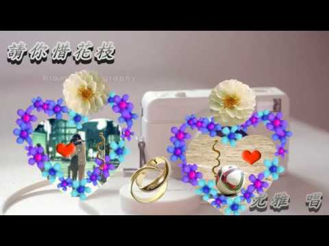 Watch 請你惜花枝 尤雅 on YouTube Watch 請你惜花枝 尤雅 on YouTube