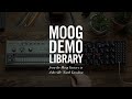Subharmonicon | How to Sync Using Analog Clock