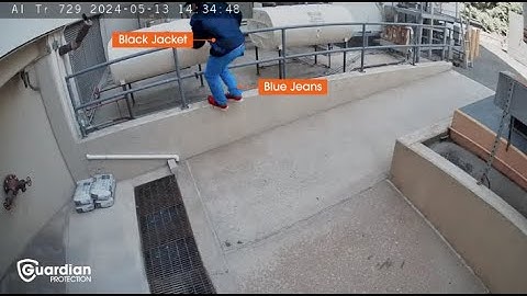 Guardian Protection | AI Deterrence