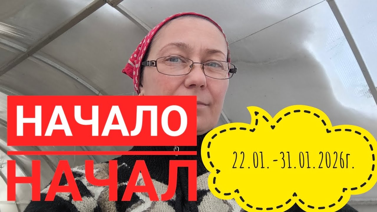 Первые всходы/Первые шаги