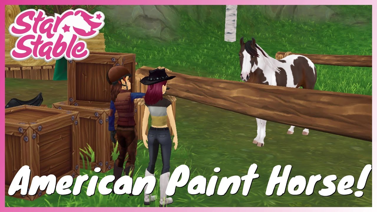 The New American Paint Horse! Star Stable Online YouTube