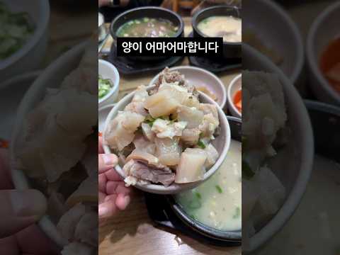 전주 찐 로컬맛집 다녀왔습니다 #shorts