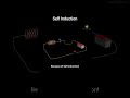 Self Induction
