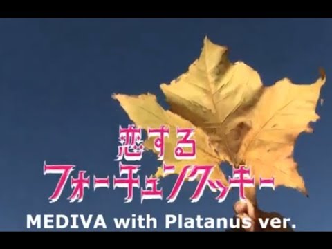 恋するフォーチュンクッキーMEDIVA+Platanus ver
