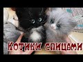 Вязание спицами//СВЯЗАЛОСЬ ЗА НЕДЕЛЮ ///КОТИКИ//ТАПОЧКИ // НОСКИ//ПЛАНЫ