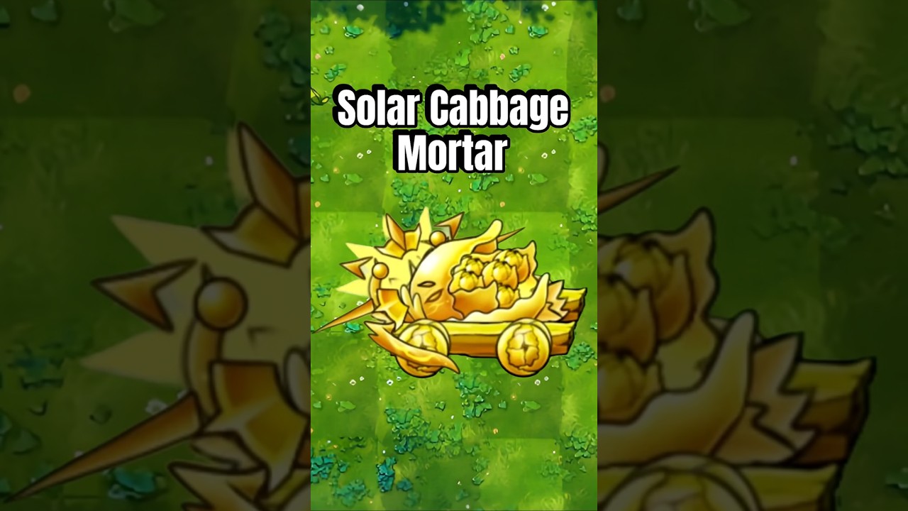 new fusion: solar Cabbage Mortar 