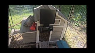 Impressed by this solar powered and WiFi Automatic chicken door
